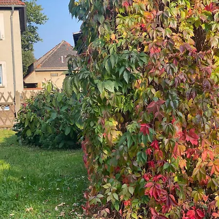Flat For 6, Washing Machine, Smart Tv, 3 Elsteraue