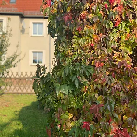Flat For 6, Washing Machine, Smart Tv, 3 Apartment Elsteraue